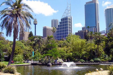 Private Sydney Half Day Tour Including Sydney Opera House And Bondi Beach - Accommodation Gladstone 4