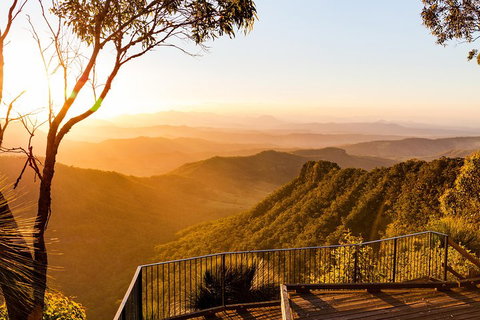 O'Reilly's & Lamington National Park Incl. Alpaca Farm + Vineyard - Accommodation Gladstone 0