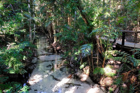 Fraser Island 4WD Tour From Rainbow Beach - Accommodation Gladstone 0