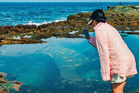 Sydney Private Tour Featuring Wilderness, Wildlife, Waves, Waterfalls And Wine - Accommodation Gladstone 1