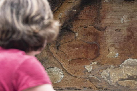 Sydney Private Tour Featuring Wilderness, Wildlife, Waves, Waterfalls And Wine - Accommodation Gladstone 2