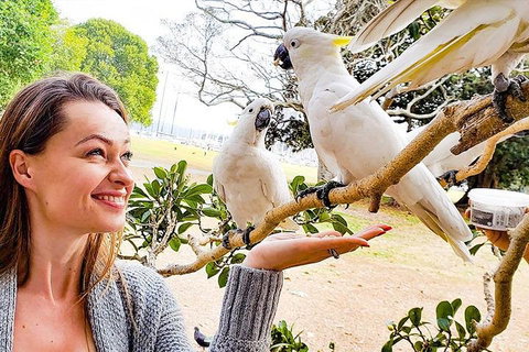 Sydney Private Tour Featuring Wilderness, Wildlife, Waves, Waterfalls And Wine - Accommodation Gladstone 4