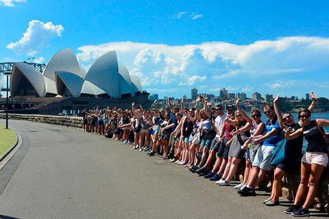 7-Day Tour In Sydney With Airport Pickup - Accommodation Gladstone 3
