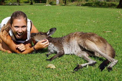7-Day Tour In Sydney With Airport Pickup - Accommodation Gladstone 4