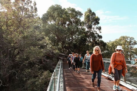 Highlights Of Kings Park - Accommodation Gladstone 3