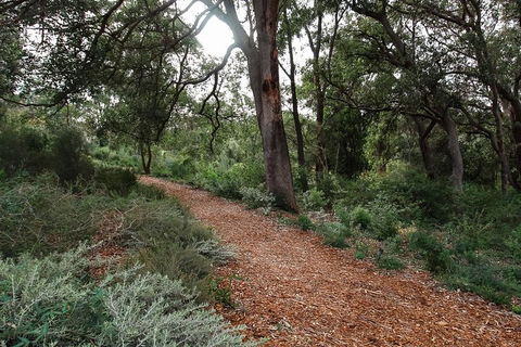 Highlights Of Kings Park - Accommodation Gladstone 5