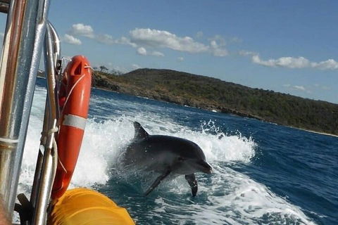 Noosa Oceanrider - Adventure Tour - Accommodation Gladstone 1