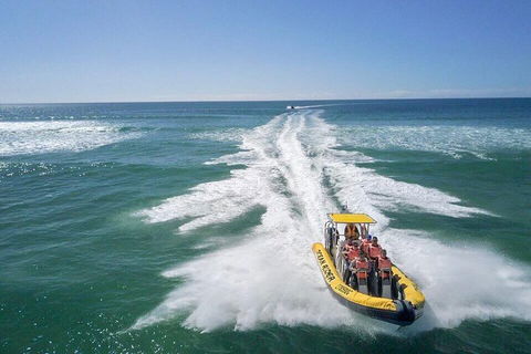 Noosa Oceanrider - Adventure Tour - Accommodation Gladstone 2