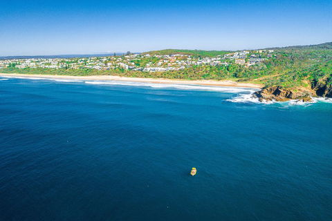 Noosa Oceanrider - Adventure Tour - Accommodation Gladstone 3