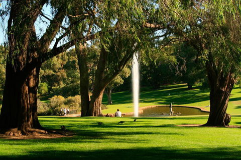 Highlights Of Perth Photographic Tour - Accommodation Gladstone 4