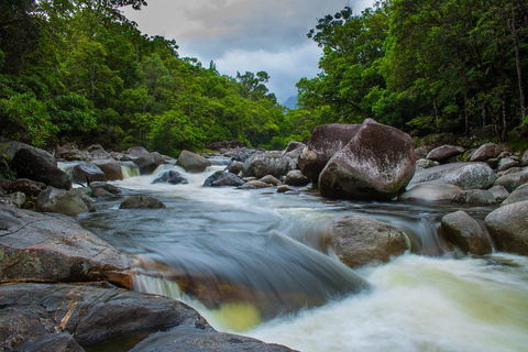 Cape Tribulation Day Tour - Accommodation Gladstone 0
