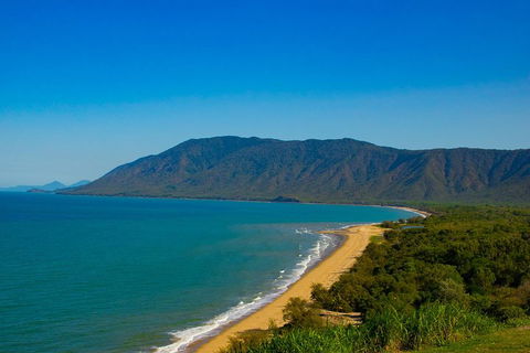Cape Tribulation Day Tour - Accommodation Gladstone 1