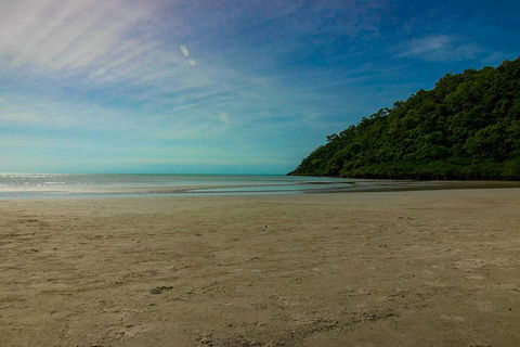 Cape Tribulation Day Tour - Accommodation Gladstone 2