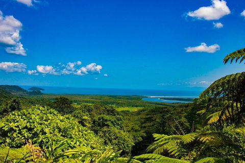 Cape Tribulation Day Tour - Accommodation Gladstone 3