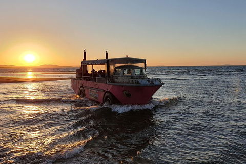 Town Of 1770 Afternoon Cruise - Accommodation Gladstone 3