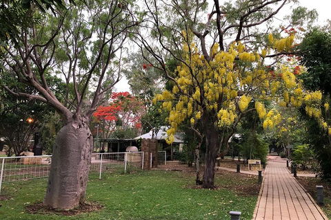 Wet Season Mitchell Falls Tour - Mitchell Falls, Horizontal Falls & Cygnet Bay - Accommodation Gladstone 1