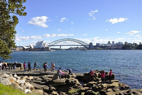 Sydney Sightseeing Bus Tours - Accommodation Gladstone 2