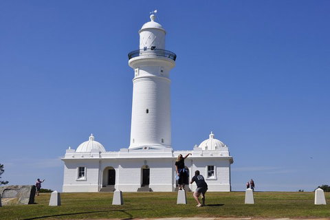 Sydney Sightseeing Bus Tours - Accommodation Gladstone 5