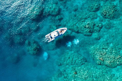 Premium Private Charter - Accommodation Gladstone 0
