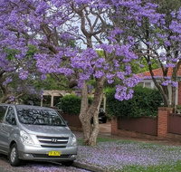 Sydney Secrets  Bondi Beach Private 4 Hr Morning with Personalised Sydney Tours