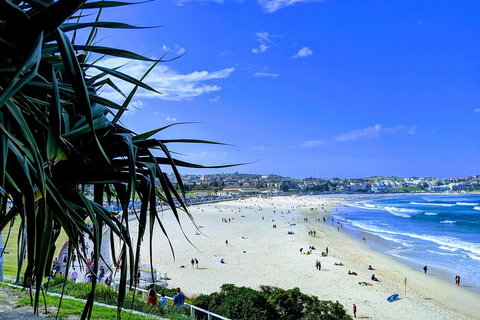 Sydney Secrets & Bondi Private 4 Hour Afternoon With 'Personalised Sydney Tours' - Accommodation Gladstone 0