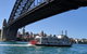 Sydney Secrets & Bondi Private 4 Hour Afternoon With 'Personalised Sydney Tours' - thumb 3