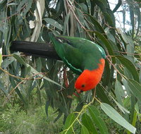 3-Day Private Adelaide to Melbourne tour - Accommodation Gladstone