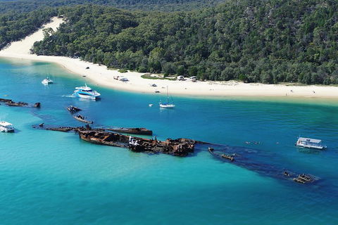 All Inclusive Tangalooma Wrecks Cruise Tour From Gold Coast - Accommodation Gladstone 0