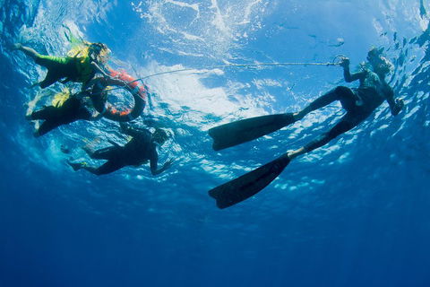 Passions Of Paradise Great Barrier Reef Snorkel And Dive Cruise From Cairns By Luxury Catamaran - Accommodation Gladstone 2