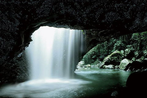 Natural Bridge Glow Worm Night Tour From Gold Coast - Accommodation Gladstone 0