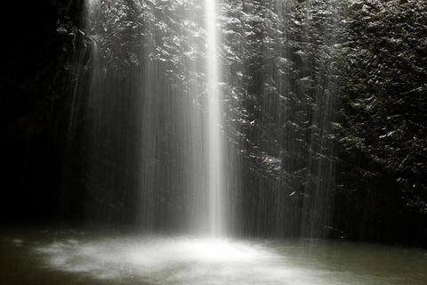 Natural Bridge Glow Worm Night Tour From Gold Coast - Accommodation Gladstone 2