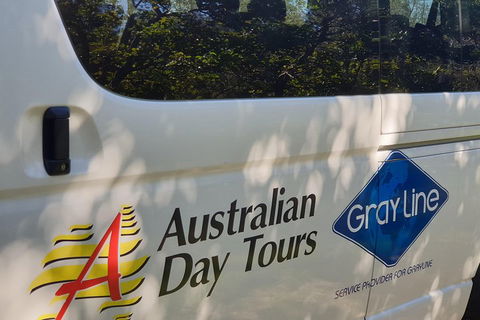Natural Bridge Glow Worm Night Tour From Gold Coast - Accommodation Gladstone 5