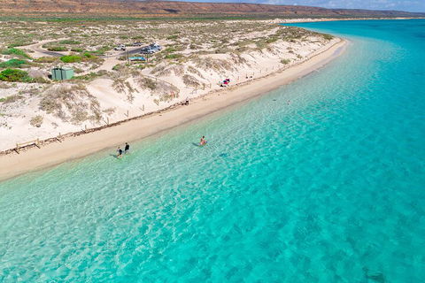 Ningaloo In A Day - Full Day Hike And Snorkel Tour With Lunch - Accommodation Gladstone 0