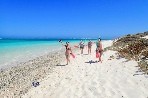 Ningaloo In A Day - Full Day Hike And Snorkel Tour With Lunch - Accommodation Gladstone 1