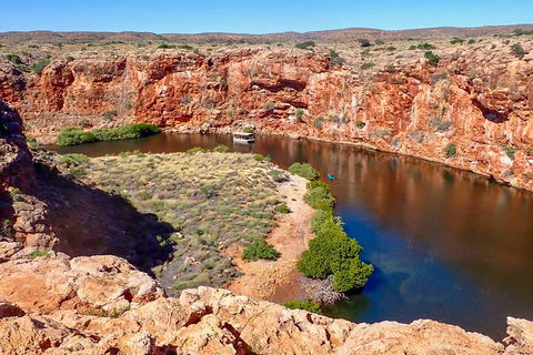 Ningaloo In A Day - Full Day Hike And Snorkel Tour With Lunch - Accommodation Gladstone 2
