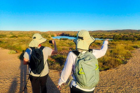 Ningaloo In A Day - Full Day Hike And Snorkel Tour With Lunch - Accommodation Gladstone 3