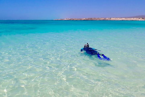 Ningaloo In A Day - Full Day Hike And Snorkel Tour With Lunch - Accommodation Gladstone 4