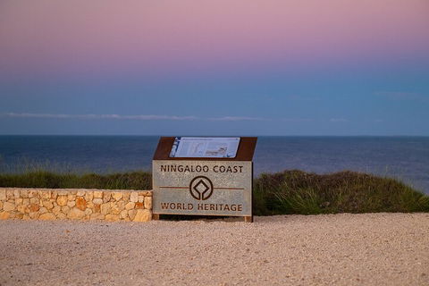 Ningaloo In A Day - Full Day Hike And Snorkel Tour With Lunch - Accommodation Gladstone 5