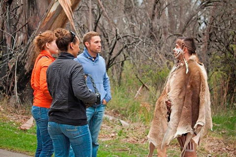 Blue Mountains Tour From Sydney With An Aboriginal Experience - Accommodation Gladstone 3