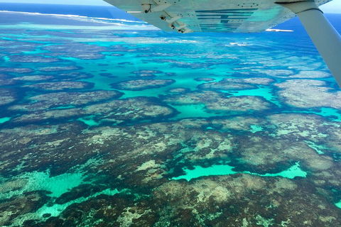 Shipwreck Special Full Day Tour Of The Abrolhos Islands - Accommodation Gladstone 1