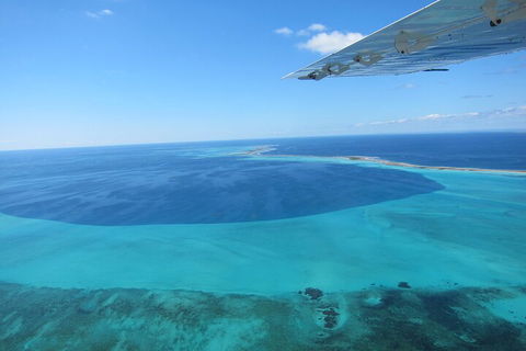 Shipwreck Special Full Day Tour Of The Abrolhos Islands - Accommodation Gladstone 2