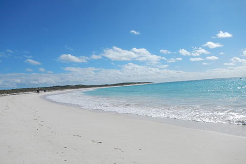 Shipwreck Special Nature Tour/Half Day Tour - Accommodation Gladstone 0