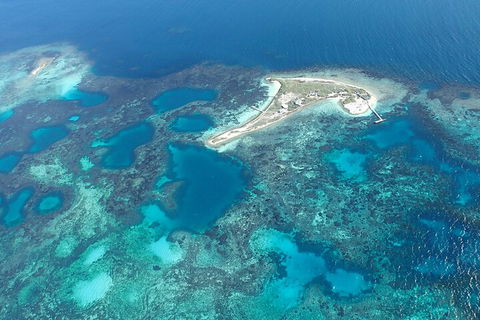 Shipwreck Special Nature Tour/Half Day Tour - Accommodation Gladstone 5