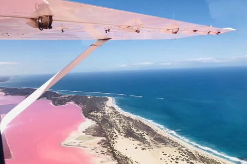 Kalbarri, Pink Lake And Abrolhos Islands Nature Tour - Accommodation Gladstone 4