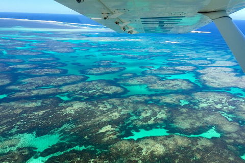 Kalbarri, Pink Lake And Abrolhos Islands Nature Tour - Accommodation Gladstone 5