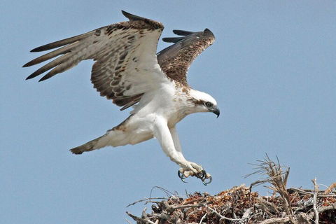 Pink Lake + Abrolhos Islands Nature Tour - Accommodation Gladstone 3