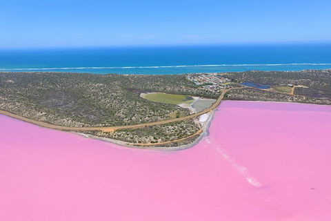Pink Lake + Abrolhos Islands Nature Tour - Accommodation Gladstone 4