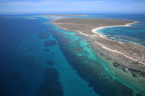 Pink Lake + Abrolhos Islands Scenic Flight - Accommodation Gladstone 0