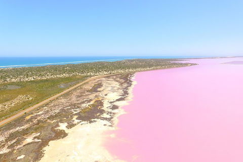 Pink Lake + Abrolhos Islands Scenic Flight - Accommodation Gladstone 4
