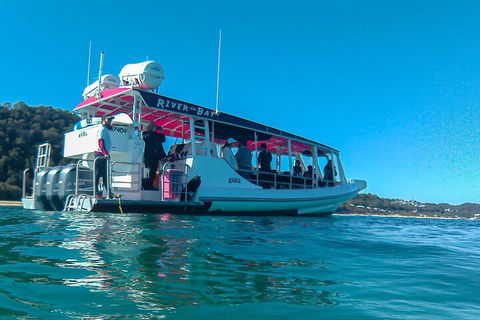 Best Of Moreton Bay Cruise - Accommodation Gladstone 0